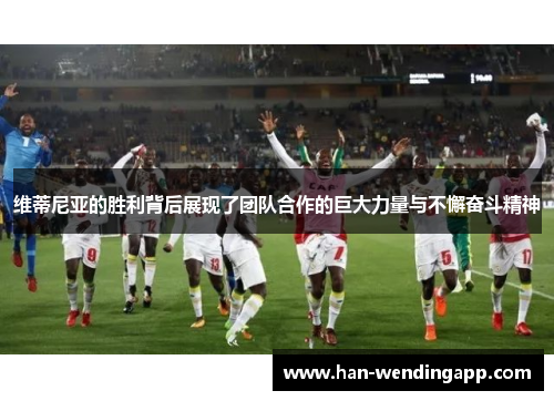 维蒂尼亚的胜利背后展现了团队合作的巨大力量与不懈奋斗精神