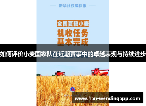 如何评价小麦国家队在近期赛事中的卓越表现与持续进步