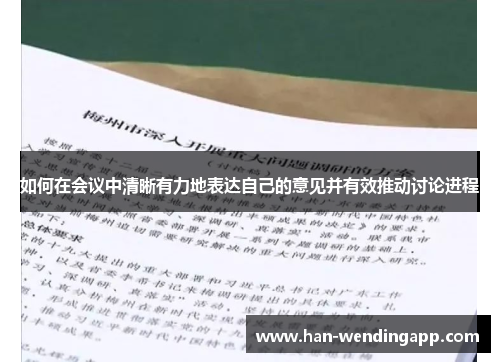 如何在会议中清晰有力地表达自己的意见并有效推动讨论进程 如何在会议中清晰有力地表达自己的意见并有效推动讨论进程